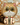 Maple The Cozy Cat 3