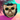 Snapshades   Mister Cool 4